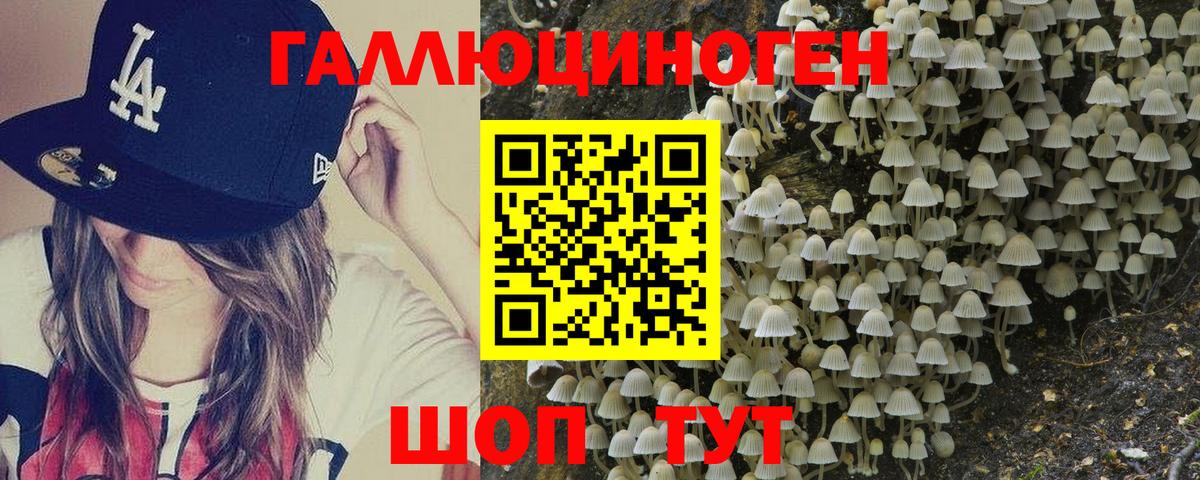 Галлюциногенные грибы Cubensis  Вход с VPN  Фролово 